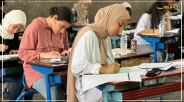 رسميًا.. نتيجة تنسيق الدبلومات الفنية 2025 متاحة الآن بالرابط والحدود الدنيا للكليات والمعاهد 1